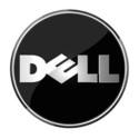 Dell partner